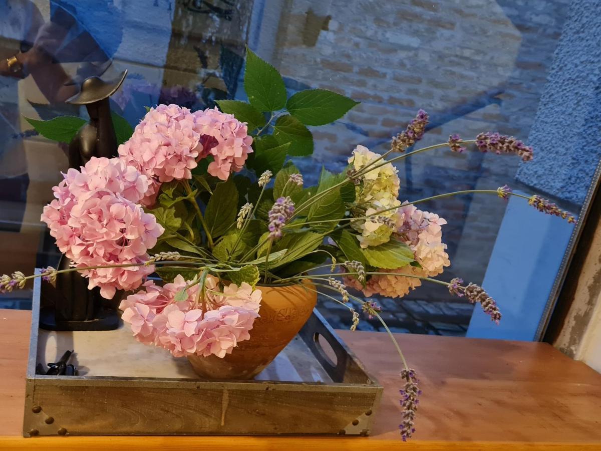 Garden Center Apartment Novi Sad Ngoại thất bức ảnh